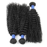 Kinky Curly Virgin Remy Human Hair Bundle (Hair Weave) Wholesale